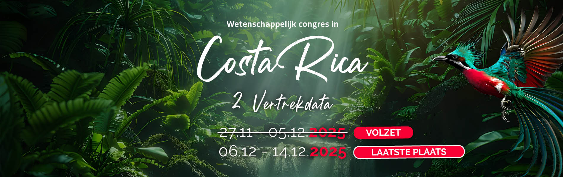 Second slide